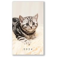 Vikpap Weekly diary - cat 2024 - Planner