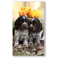 Vikpap Weekly diary - dogs 2024 - Planner