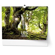 Baloušek Print Wall calendar - Forest - A3 2024 - Wall Calendar