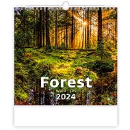Helmet Wall calendar - Forest 2024 - Wall Calendar