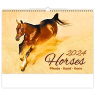 Helmet Wall calendar - Horses 2024 - Wall Calendar