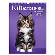 Helmet Wall calendar - Kittens 2024 - Wall Calendar