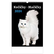 Helmet Wall calendar - Kittens/Cats 2024 - Wall Calendar