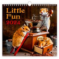 Helmet Wall calendar - Little Fun 2024 - Wall Calendar