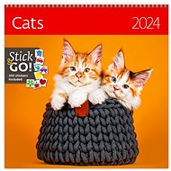 Helmet Wall calendar LP - Cats 2024 - Wall Calendar