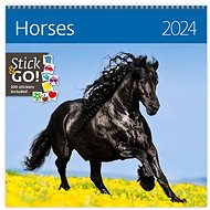 Helmet Wall calendar LP - Horses 2024 - Wall Calendar