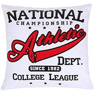 Bellatex RETRO - 45 × 45 cm - bílá - Pillow