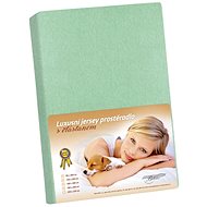 Bellatex Jersey with elastane - 180 × 200 cm - light green - Bedsheet