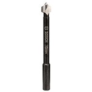 BOSCH Forstner drill bit 10 mm 2.608.577.000 - Drill Bit