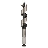 BOSCH Snake drill bit, hexagonal 22 × 95 × 160 mm, d 11.1 mm 2.608.585.706 - Drill Bit