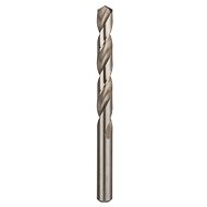BOSCH Metal drill HSS-G, DIN 338 12.5 × 101 × 151 mm 2.608.585.941 - Drill Bit
