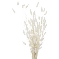 Boltze Decorative dried wicker, 70 cm, white - Artificial Flower