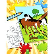 Schwager & Steinlein Omalovánky Koně - Colouring Book