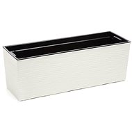 LAMELA Chest BEGONIA DLUTO - indented, 19 x 56 cm, height 19.5 cm, cream - Flower Box
