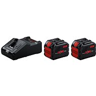 BOSCH Professional 2 × battery + ProCore 18 V charger (2 × 12.0 Ah + GAL 18V-160), 1.600. A02. T5 - Charger and Spare Batteries