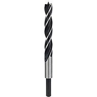 BOSCH PRO Wood drill bit, 12 × 110 × 151 mm 2.608.577.715 - Drill Bit