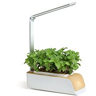 BOT Smart planter with LED, white and light wood - Smart Flower Pot