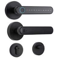 BOT Smart handle TTLock SH1 black - Door Handle