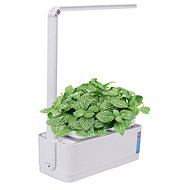 BOT Smart planter with LED Blue - Smart Flower Pot