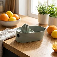 BLIM PLUS Citrus press Oblo SM3-314 Forest Medium - Juicer