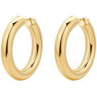 Brosway Aura BAU - Earrings