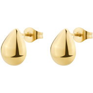 Brosway Perfect BPC41 - Earrings