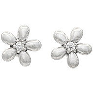 Bruno Earrings with a stone (S4521) - Earrings