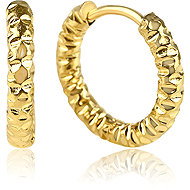 Meucci Earrings with hammer effect gold - Earrings