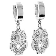 Bruno Visací náušnice SOVY s kamínky - Earrings