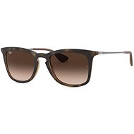 Ray-Ban 0RB4221 - Sunglasses