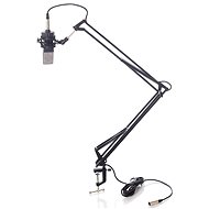 BESPECO MSRA10 - Microphone Boom Arm
