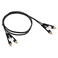 BST PPK-RCAM-RCAM-1.5 - AUX Cable