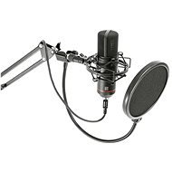 BST STM300PLUS - Microphone