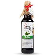 Camellus Sirup Klasik Jitrocelový, 0,5 l - Sirup