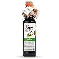 Camellus Classic Sea Buckthorn Syrup with mint, 0,5 l - Syrup