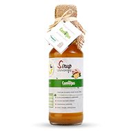 Camellus Classic Ginger Syrup, 0,2 l - Syrup