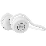 ARCTIC P311 White - Headphones