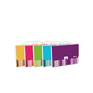 A4 Expanding File-Smile Macaron 13 pockets Blue - Document Folder