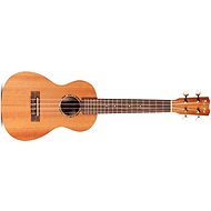 Cordoba Protégé U1C Concert Ukulele - Ukulele