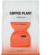 Coffee Plant Flow Brownie Filter 250 g - Coffee