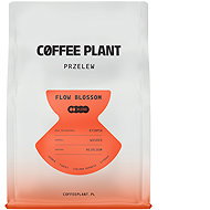 Coffee Plant Chocolate Bomb Espresso, výběrová, 250g - Coffee