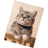 Kaptan Microplush blanket Kitten Roller 150 × 200 cm - Blanket