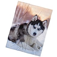 Kaptan Microplush blanket Dog Siberian Husky 150 × 200 cm - Blanket
