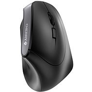 CHERRY MW 4500 - Mouse