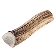 Chewies Geweih deer antler half - L - Fallow Antler Dog Chew