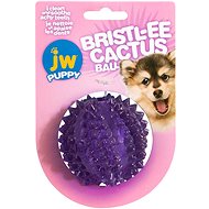 JW Bristl-ee Cactus Ball - Dog Toy