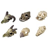 Ebi Animal skull mix 7-10 cm - Aquarium Decoration