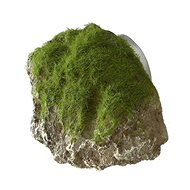 Ebi Aqua Della moss-covered stone with suction cups XS 9 × 6 × 6,5 cm - Aquarium Decoration