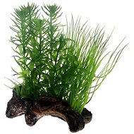 Hobby Plants on ceramic root for aquarium 17 cm - Aquarium Decoration