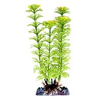 Penn Plax Ambulia 18 cm - Aquarium Decoration